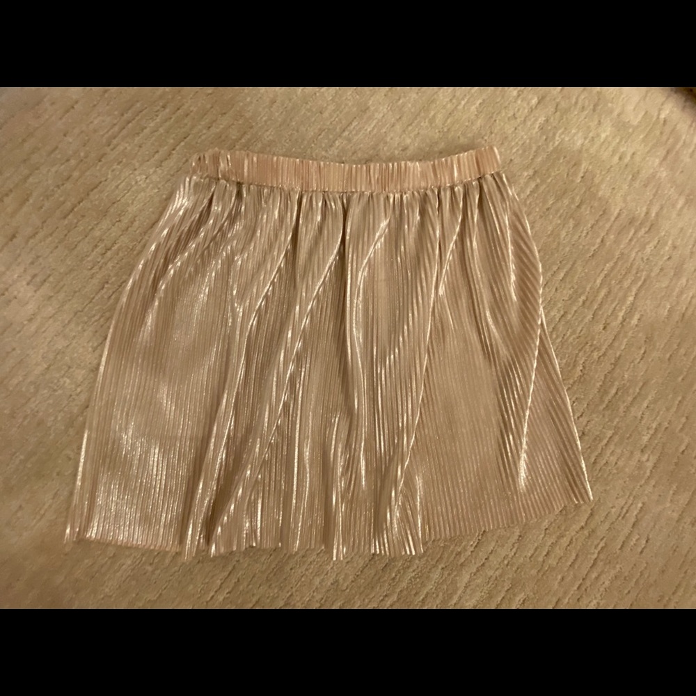 Pleated Iridescent Skirt